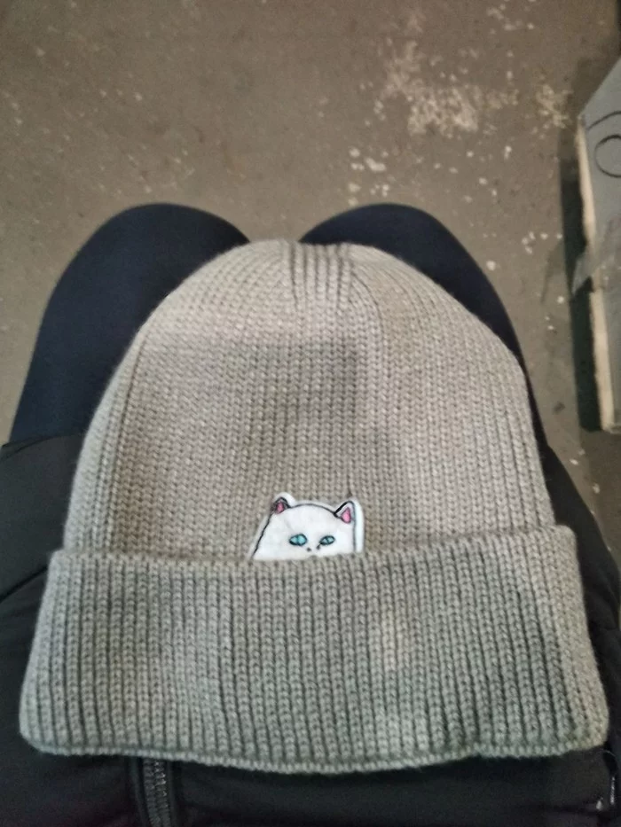 The perfect hat - My, Cap, cat, Market, Longpost