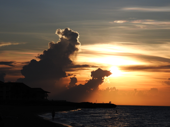Закат на Варадеро, "Старик и две его твари"