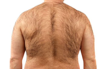4 причины гордиться волосатой грудью