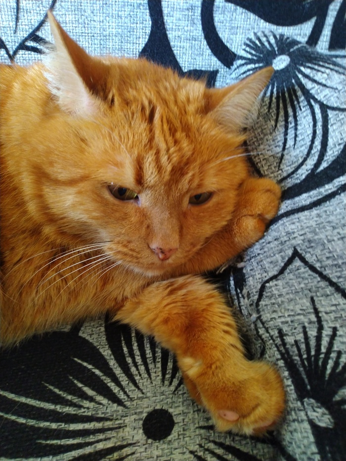 ����� ����������...