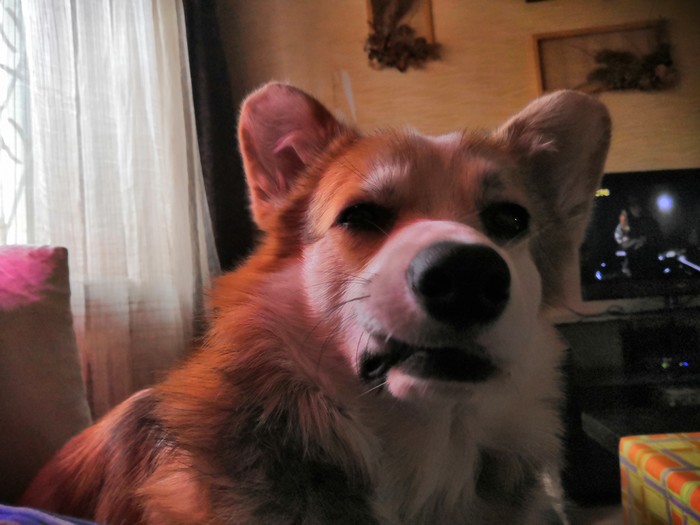 ���������� ����