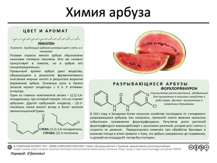 Chemistry of some food products - Chemistry, Nutrition, Products, Infographics, Picture with text, Copy-paste, Interesting, Longpost