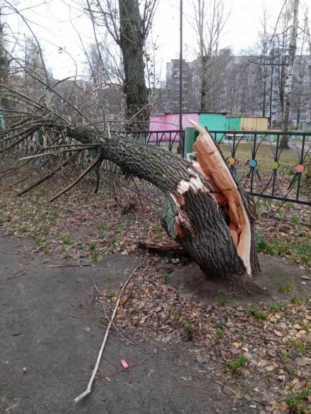 Hurricane in Yaroslavl: chronicle of a wild night - Yaroslavl, Hurricane, Video, The photo, Chronicle, Longpost