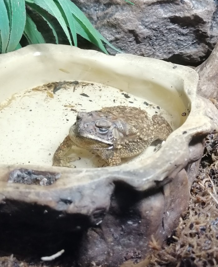 Мое эмоциональное состояние: