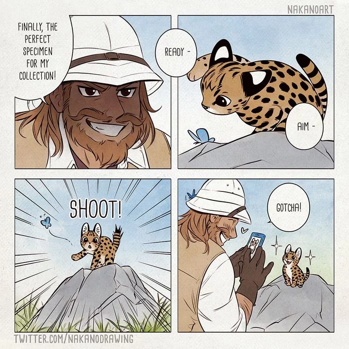 Aiming for that perfect shot! - Nakanoart, Comics, Ocelot, Small cats, Cat family, Predatory animals