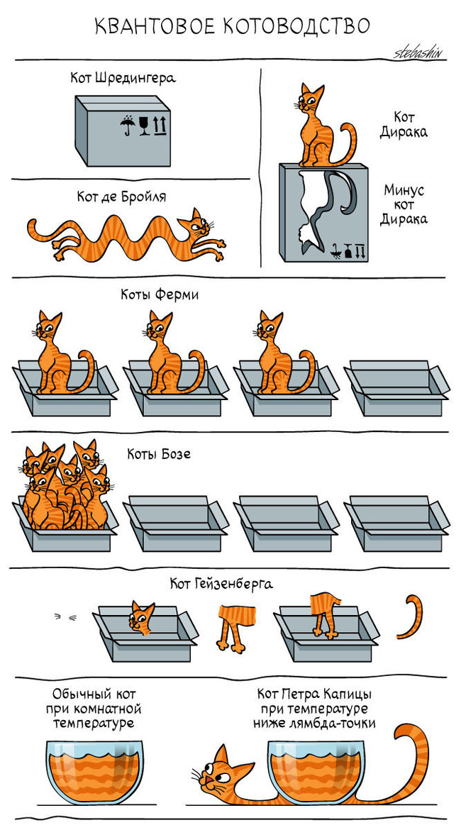 Quantum cat breeding - My, cat, Drawing