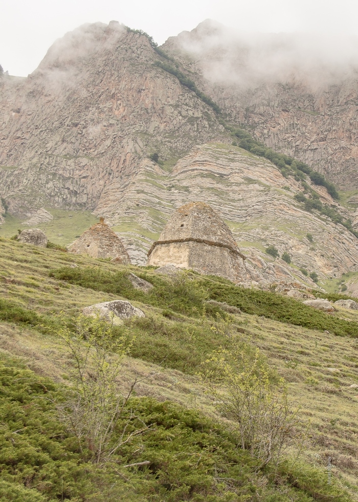 фото засада кабардино балкария этой фразы