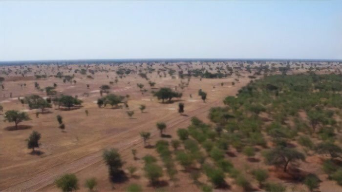 More than 20 countries are building a Great Green Wall - Africa, Ecology, Longpost, great green wall