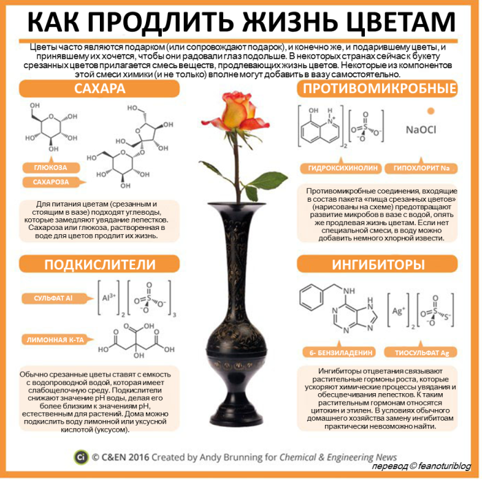 Ещё немного инфографики по химии - Химия, Инфографика, Картинка с текстом, Копипаста, Интересное, Длиннопост