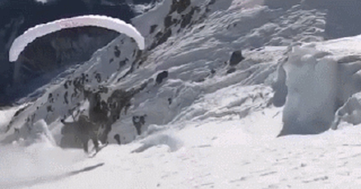 You can shit yourself just by watching it - Post #10577199, Sport, Skiing, Parachute, Extreme, Red bull, GIF