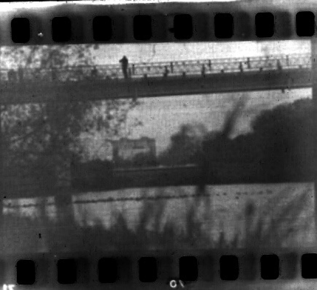 Overdue Svema - My, Film, The film did not die, The photo, Black and white, Svema, Longpost