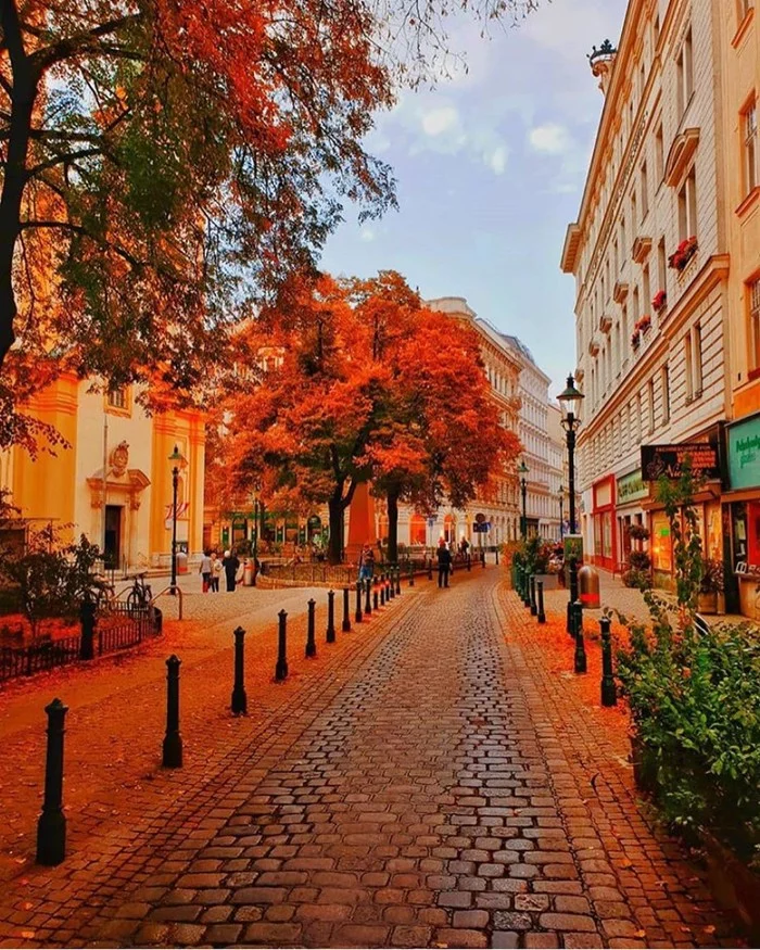 Vienna, Austria. - Vein, Austria, Travels, Autumn, The photo, City walk