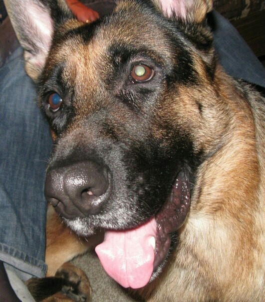 ��� �����