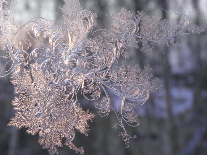 Patterns on the window - My, Patterns on the window, Siberia, Taiga, Winter