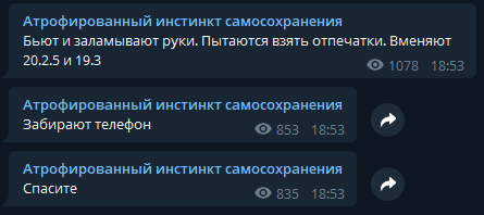 Ещё на шаг ближе к политическому убежищу в ЕС (нет) - Ольга Мисик, Политика, Мат, Длиннопост