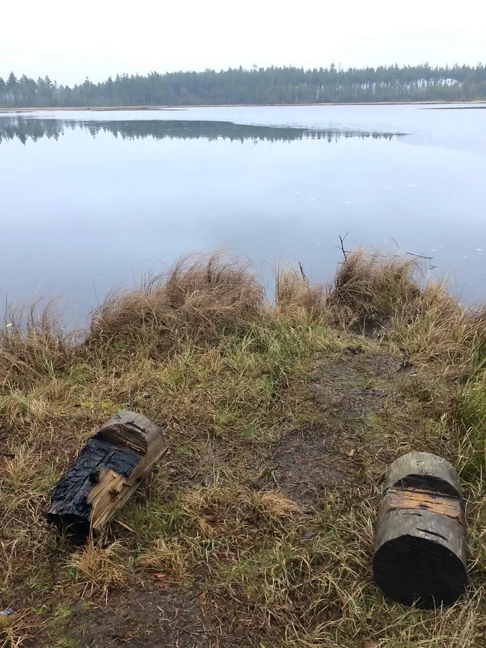 I wanted the best (Part 2) - My, Cattle, Garbage, Lake, Nature, Longpost