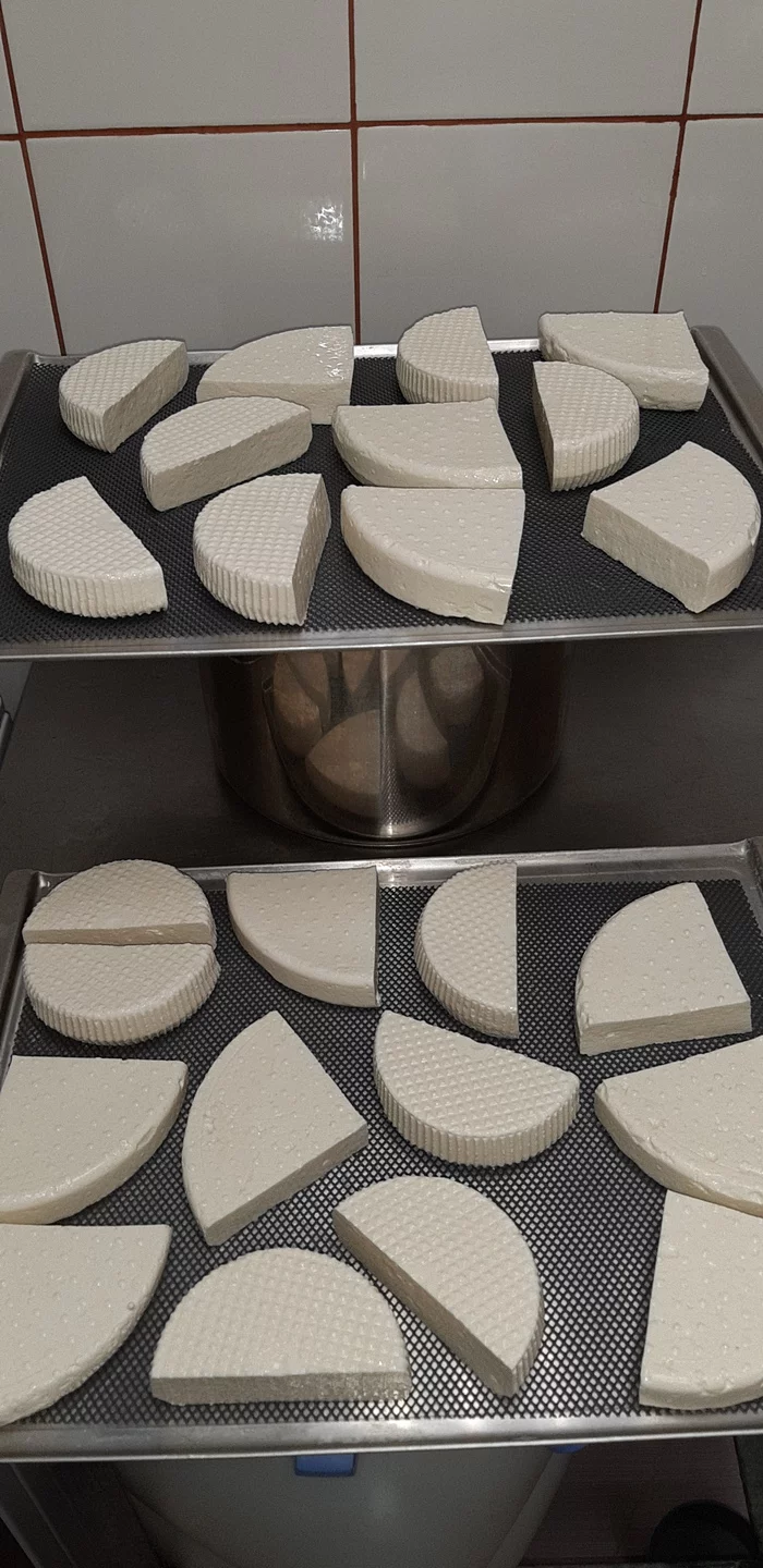 Great feta cheese recipe - My, Cheese, Cheese making, Feta cheese, Longpost