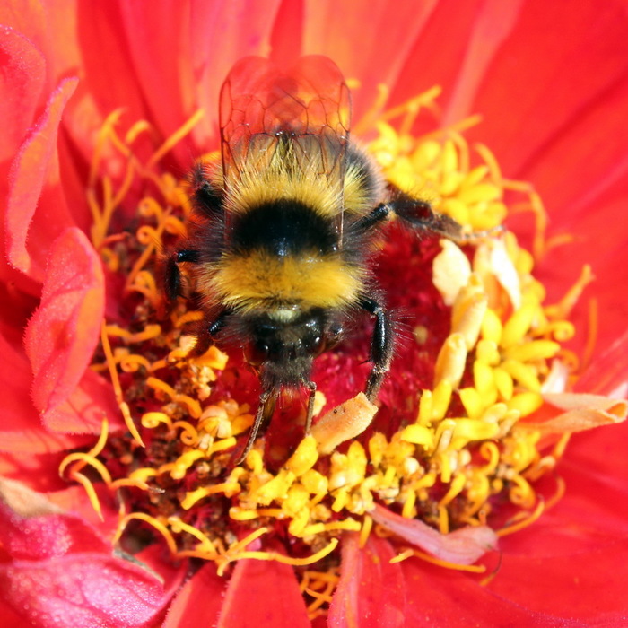 Воспоминание о лете. | Пикабу