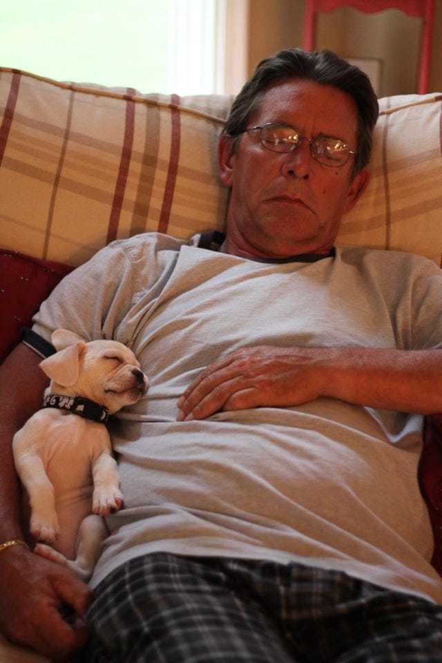 25 fathers who were categorically against animals in the house. And now there is true love between them - cat, Dog, Father, Longpost