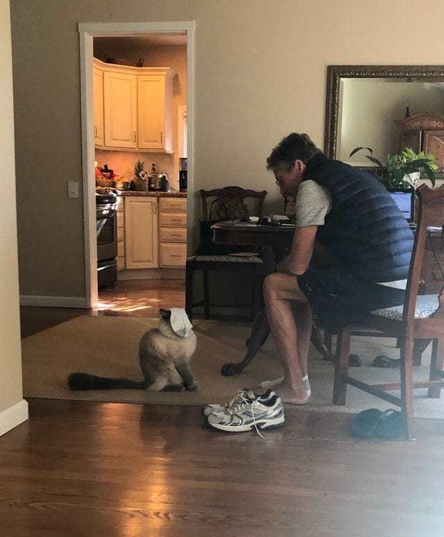 25 fathers who were categorically against animals in the house. And now there is true love between them - cat, Dog, Father, Longpost