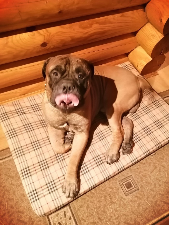 ����������