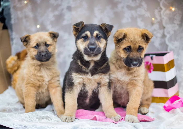 ����� � ������ ���� ����� � ������ � �����������