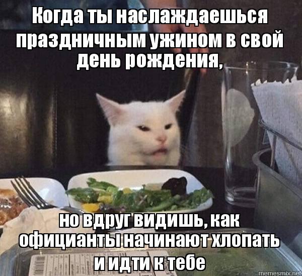 Meme collection: cat with salad - Memes, Humor, Picture with text, cat, Longpost, Two women yell at the cat, A selection