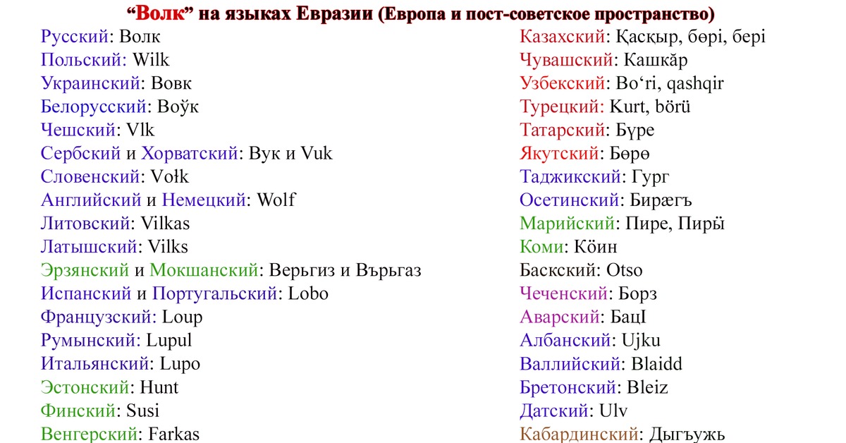 Аварские имена. Волк на разных языках. Слово волк на разных языках. Разные языки.