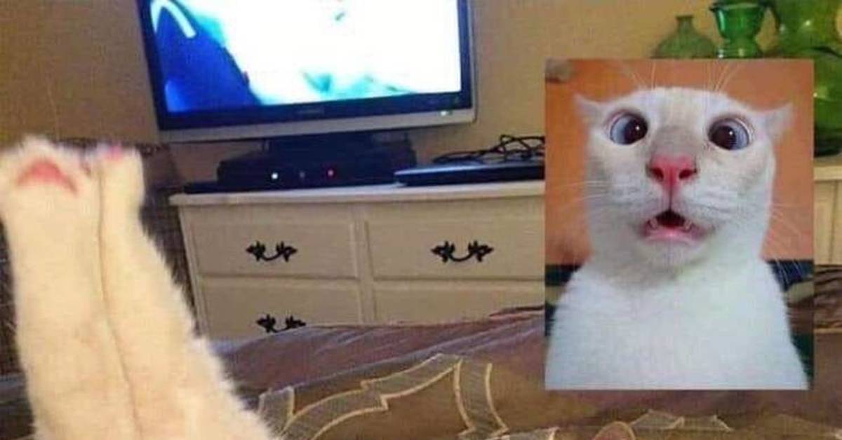 Video Chat Sights