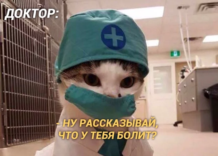 When you go to a doctor's appointment with your mother :) - The medicine, Humor, Mum, Longpost, cat