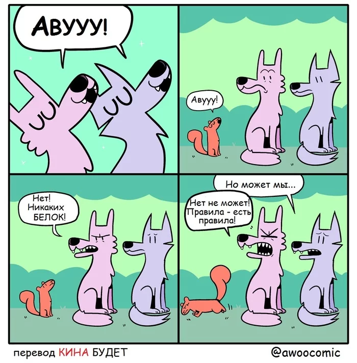 Rules are rules... - Wolf, Squirrel, Rules, Comics, Translated by myself, Awoocomic