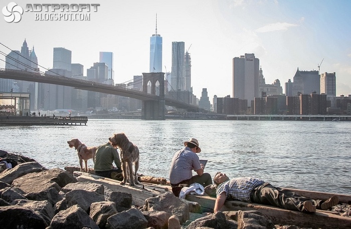 Колорит в лицах Нью-Йорка Фотография, Америка, Общество, Длиннопост, Подборка, Нью-Йорк Колорит в лицах Нью-Йорка Фотография, Америка, Общество, Длиннопост, Подборка, Нью-Йорк