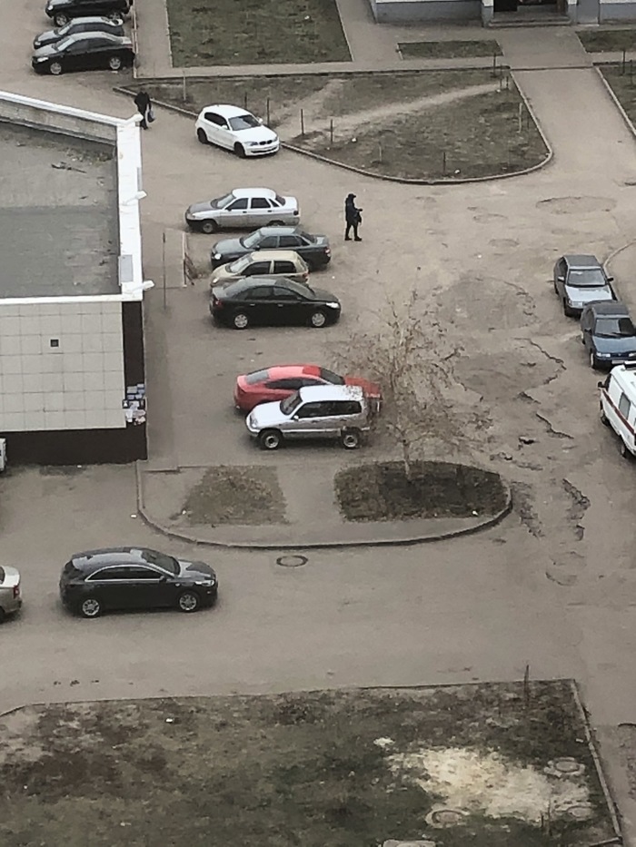 Каменные джунгли | Пикабу