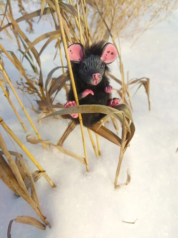 Need more mice!) - My, Needlework without process, Mouse, Author's toy, Copyright, Rat, Polymer clay, Handmade, Longpost