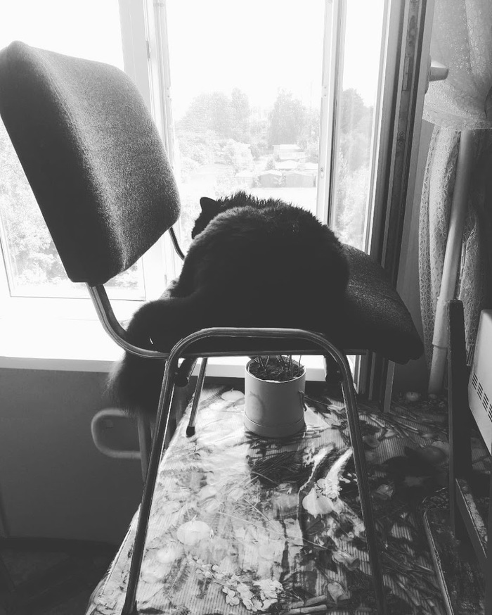 Когда дома уборка и нельзя делать тыгыдык.