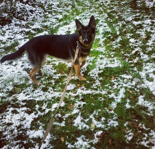 ������� ������