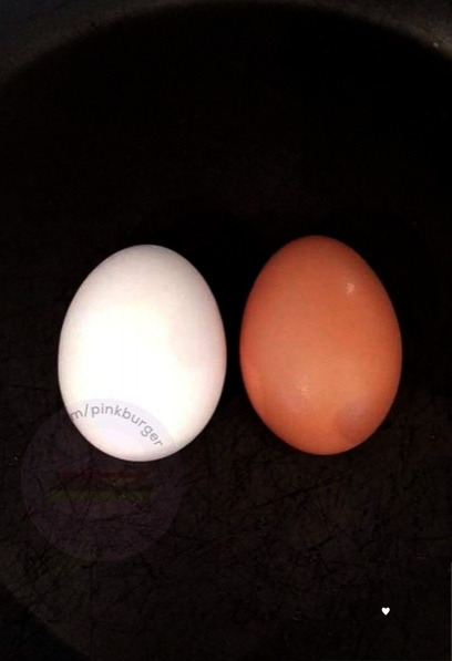 It doesn't matter if you're black or white, inside we're all eggs - Eggs, Images