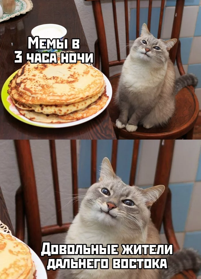 Hello Far Easterners :) - Vladivostok, Дальний Восток, Memes, Night, Morning, Good morning, Picture with text, cat