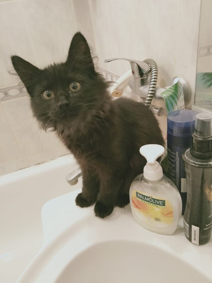 Утро начинается не с кофе