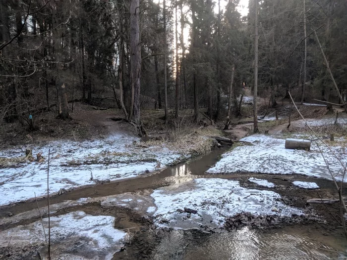 Winter trails. Moscow region - My, A bike, Cross Country, Longpost