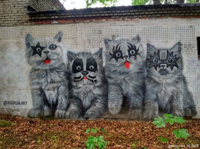 Kiss kiss - cat, Kiss, Graffiti