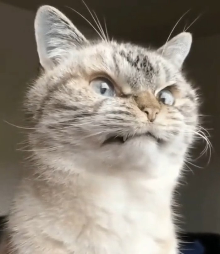 После собрания в понедельник