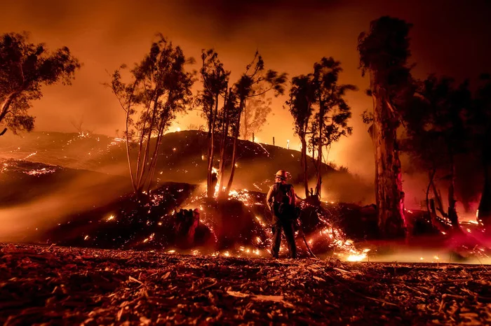 The most powerful photos of November 2019 - The photo, Buzzfeed, A selection, Interesting, Translation, Longpost, The Guardian