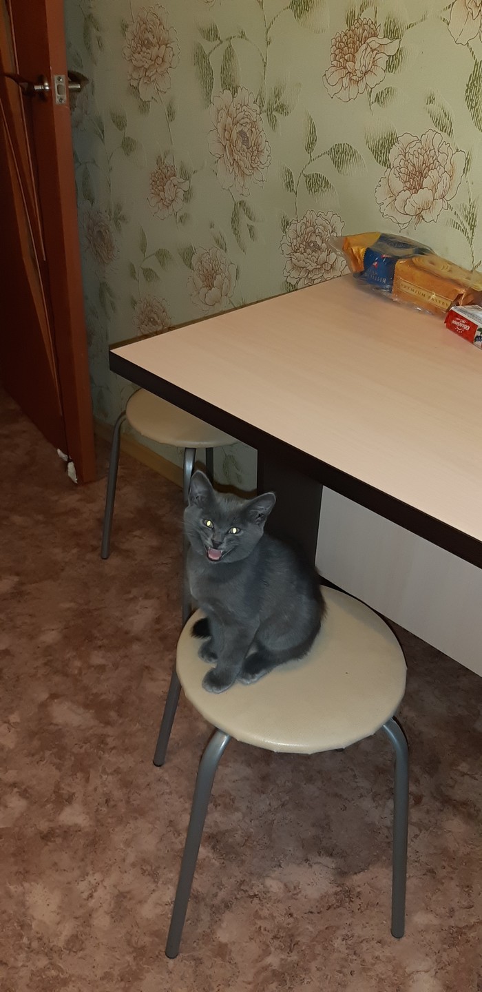 Знакомьтесь, Дымок