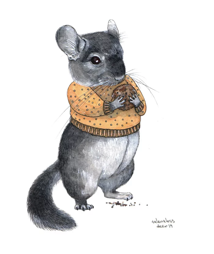 Topa - My, Art, Illustrations, Watercolor, Graphics, Chinchilla, Drawing, Pullover, Sketch