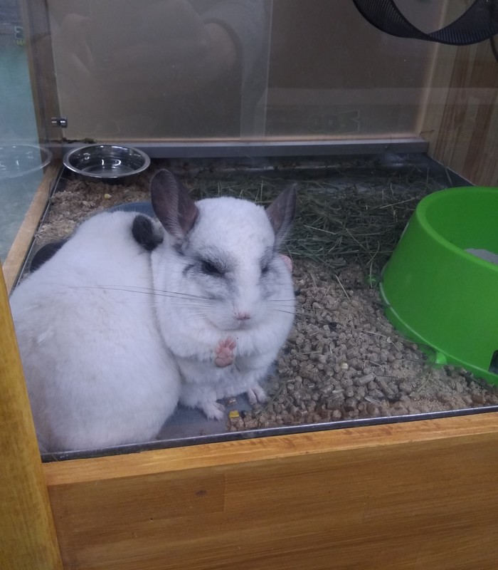 Вите надо выйти