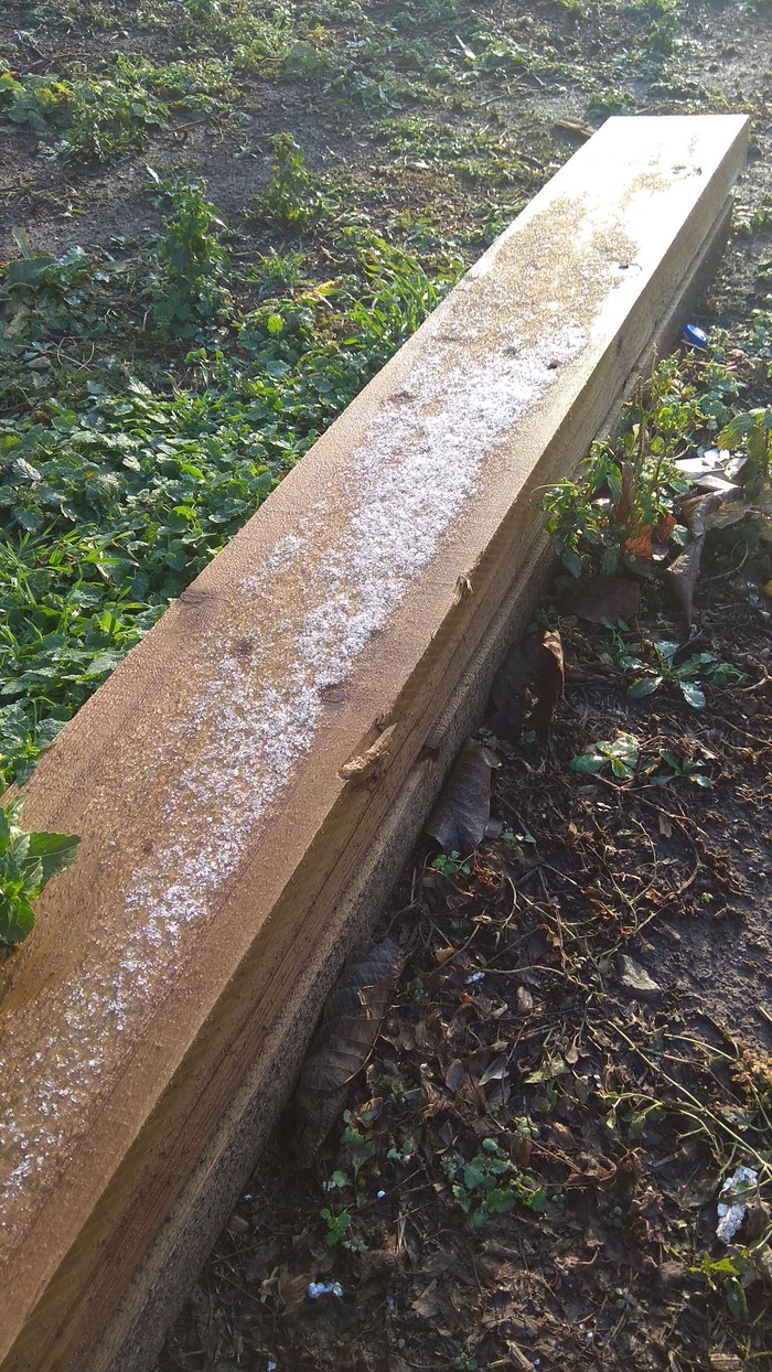 ������ ���� � �����