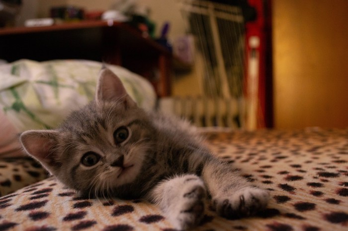 Все делают это