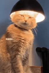  , , 