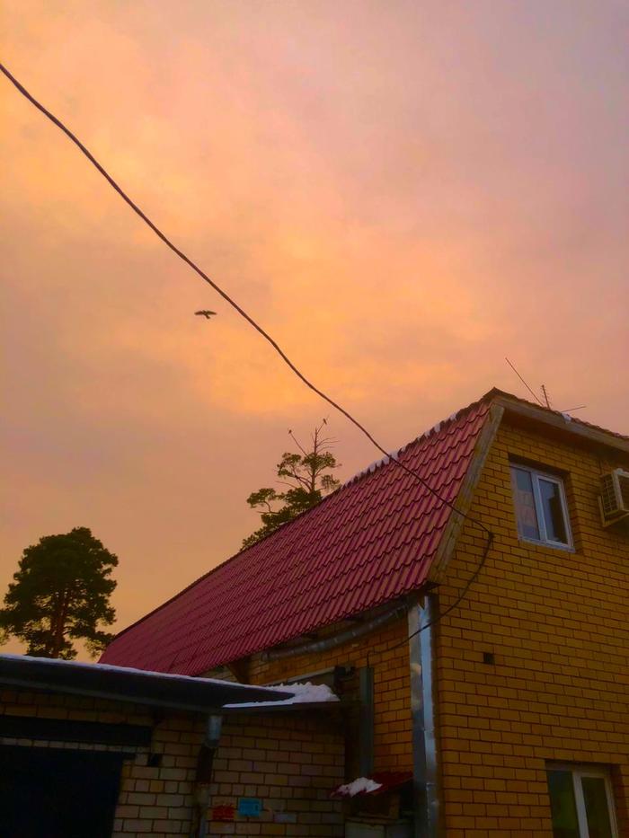 . 7 . ) S.T.A.L.K.E.R